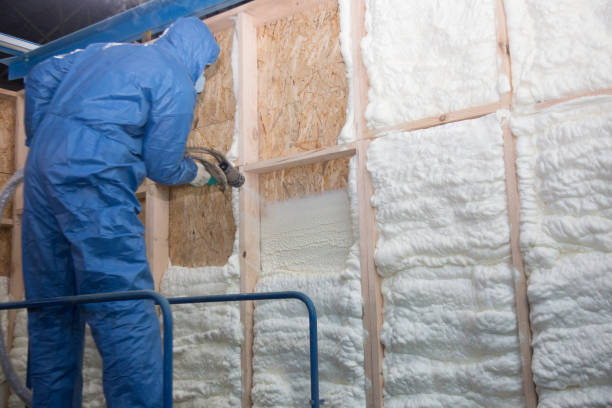 Best Eco-Friendly Insulation Solutions  in Crossville, AL